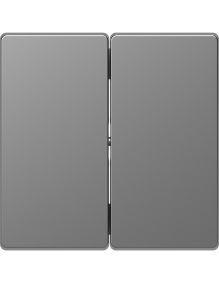 Double key for D-LIFE mechanism in aluminum color