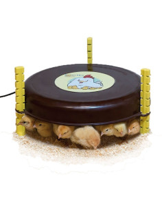 Calefactor pollitos Nanny Hen 36 W