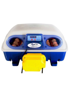 Incubadora Automática REAL 24 huevos