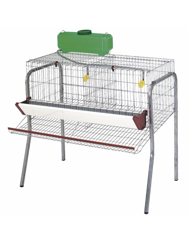 Battery of Laying Hens 2 departments