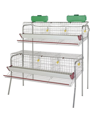Batterie de Poules Pondeuses 6 départements