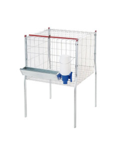 Cage for Broiler Chickens 1 department
