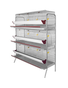 Laying hen exhibition battery