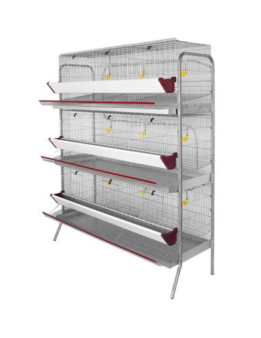 Bateria de exposição para galinhas poedeiras