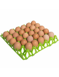 Plateau à œufs en plastique