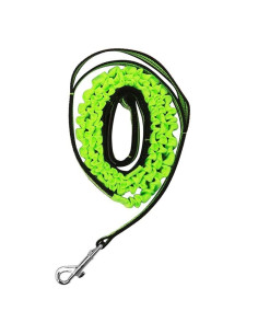 Laisse anti-traction pour chiens "Sparta" Verte