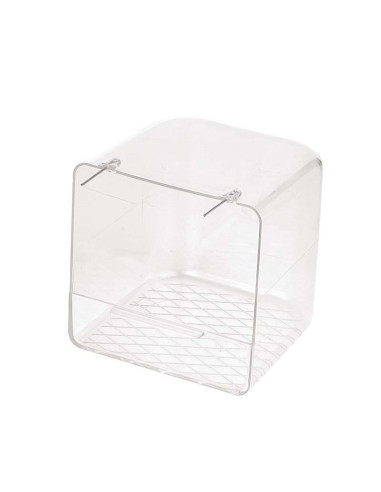 Banheira transparente para pássaros