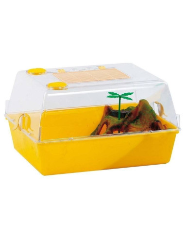 Cage à reptiles