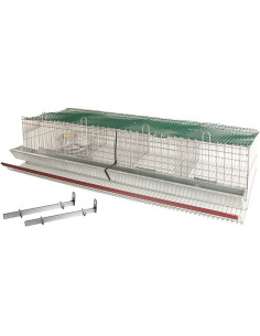 Cesto de bateria de parede para codornas