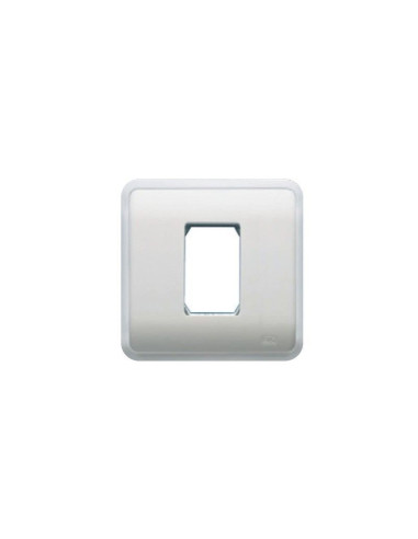 Plaque avec cadre + cadre pour 1 module blanc...