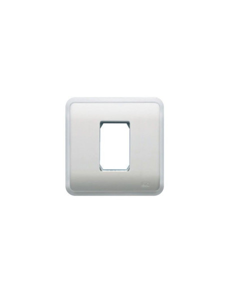 Plate with frame + frame for 1 narrow white module