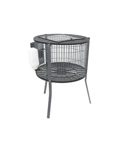 Round cage for males