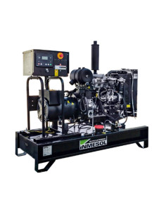 Generador Raywin AR-044 Industrial 44 kVa