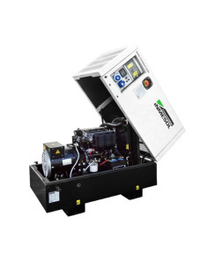 Generador Raywin BR-7 Industrial 7 kVa