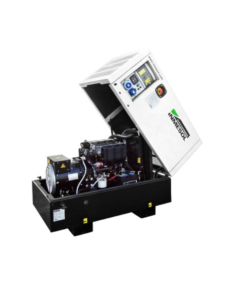 Generador Raywin BR-7 Industrial 7 kVa