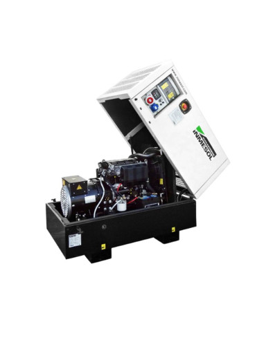 Gerador Industrial Raywin BR-010 10 kVa