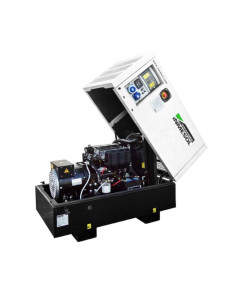 Gerador Industrial Raywin BR-18 18 kVa