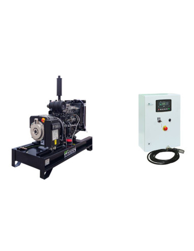 Générateur de secours Raywin AR-010 10 kVa