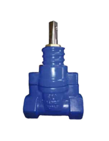 Robinet-vanne pour raccord fonte ductile PN16
