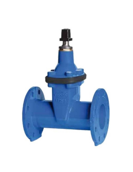 Vanne à fermeture élastique F-5 en fonte ductile PN16