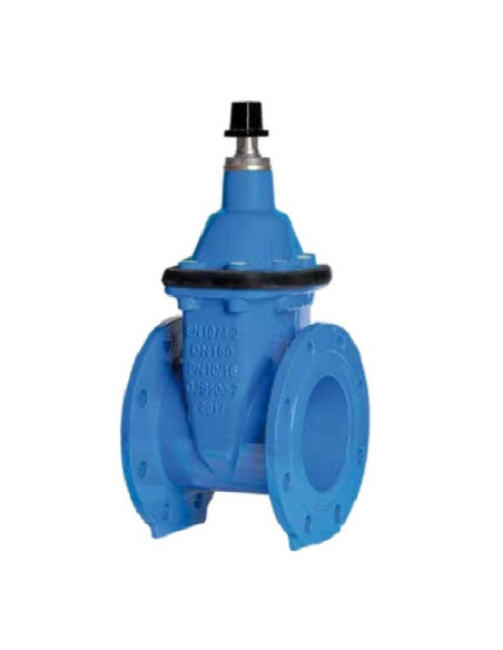 Vanne à fermeture élastique F-4 en fonte ductile PN16