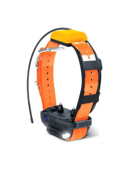 Collier de localisation de suivi Dogtra Pathfinder 2