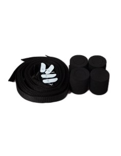 TowCar Balance motorcycle strap set