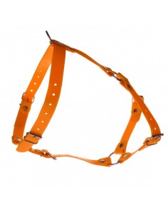 Arnés ajustable 25mm naranja/amarillo