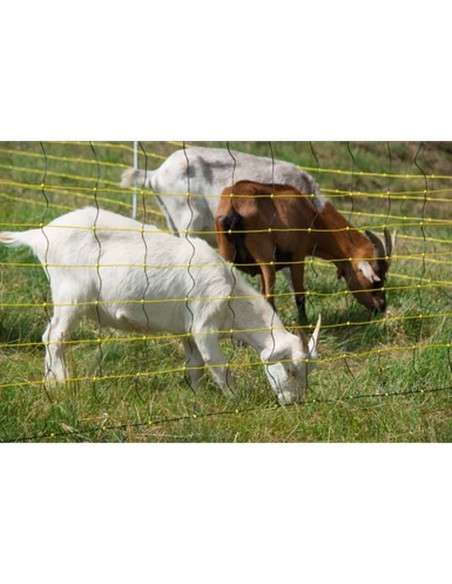 Horizont oveja red horinetz | 120 cm de alto | 50 m de largo | Liderazgo dual | electrificable