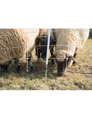 Horizont oveja neto turbomax extra|105 cm de...