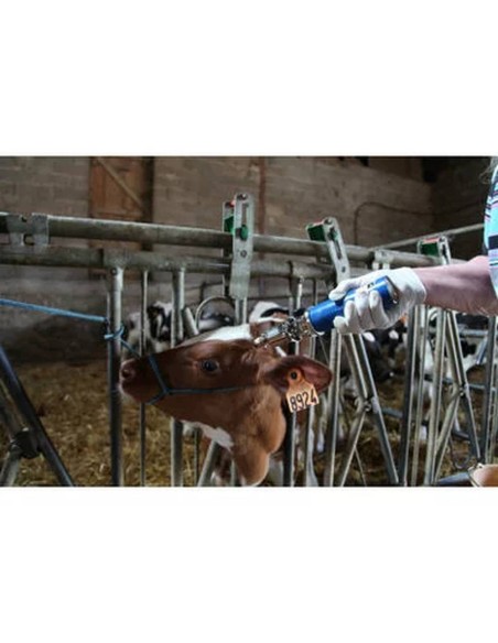 Descornadora a gas NEthorn | con 2 cartuchos