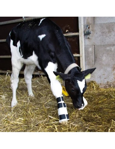 Férula para pantorrillas con zancos tendinosos