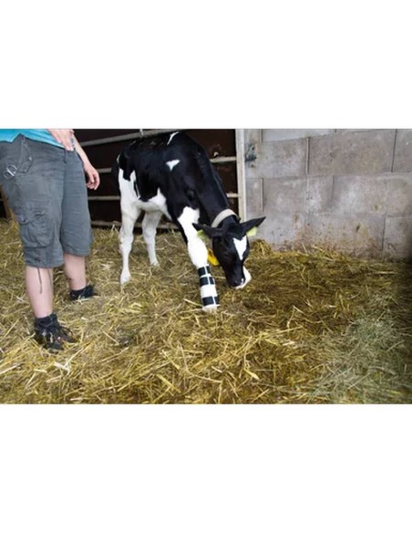 Férula para pantorrillas con zancos tendinosos