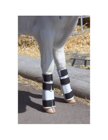Férula para pantorrillas con zancos tendinosos