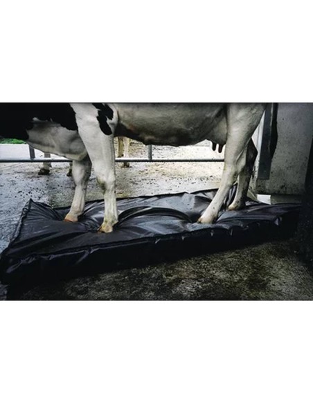 Estera desinfectante Septicare (180 cm x 90 cm x 10 cm) | 120 - 160 litros