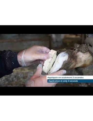 Pegamento para garras Septicare II Bond Express...