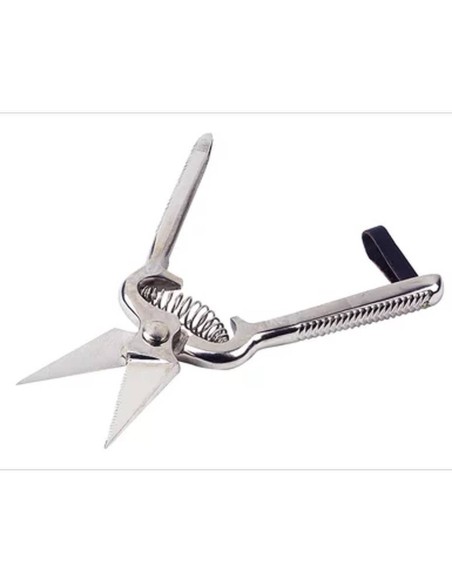 Tijeras de garra de oveja KAMER de acero (6 cm) | serrado