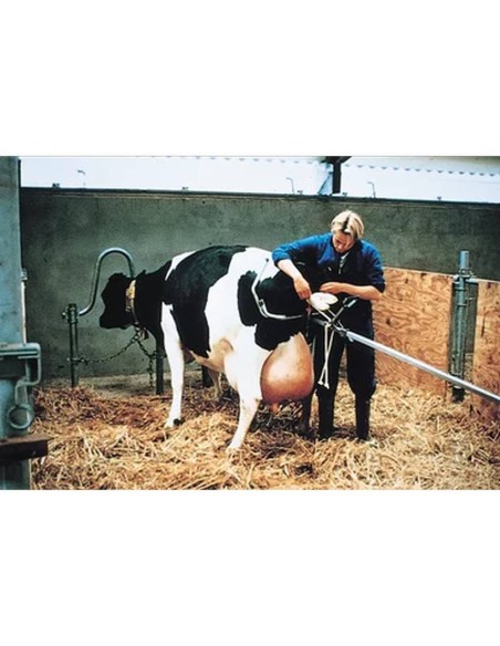 Partera VINK para vacas lecheras | potencia de tracción 300 kg