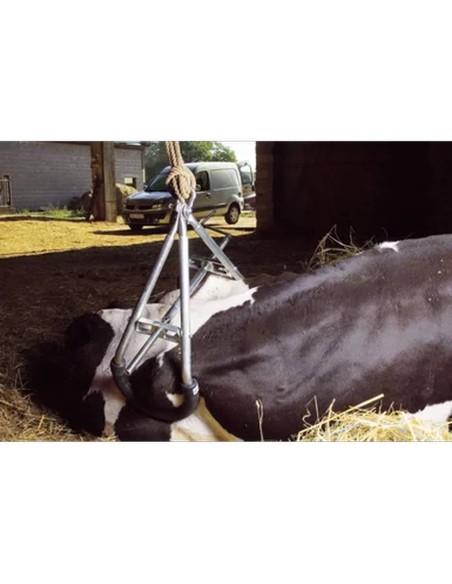 Dispositivo de Elevación KAMER para Vacas (Máx. 900 kg, Gris) – Ukal
