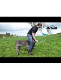 Bolsa de calostro ANTAHI (4 L) | 10 piezas 2