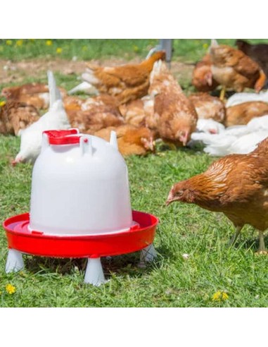 Bebedero de plástico para aves COMBO | con...