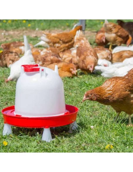 Bebedero de plástico para aves COMBO | con cierre de bayoneta | rojo