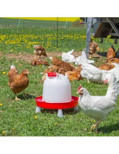 Bebedero de plástico para aves COMBO | con...