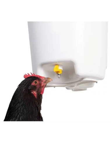 Bebedero para gallinas colgante con boquilla...