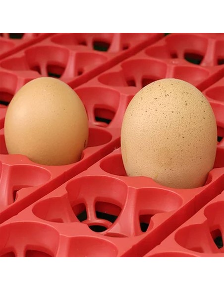 Incubadora ET24 | Totalmente automático para hasta 24 huevos.