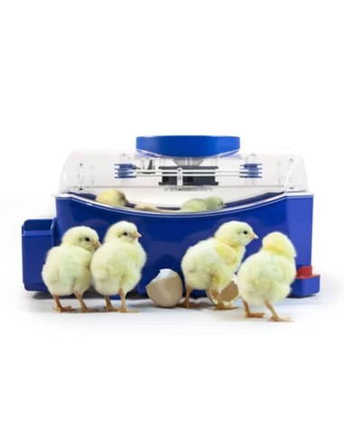 Automatic Incubator "Lumia 8"