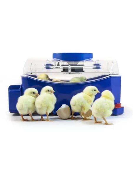 Automatic Incubator "Lumia 8"