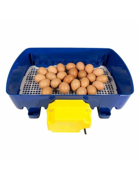 VRAI Incubateur Automatique 24 œufs