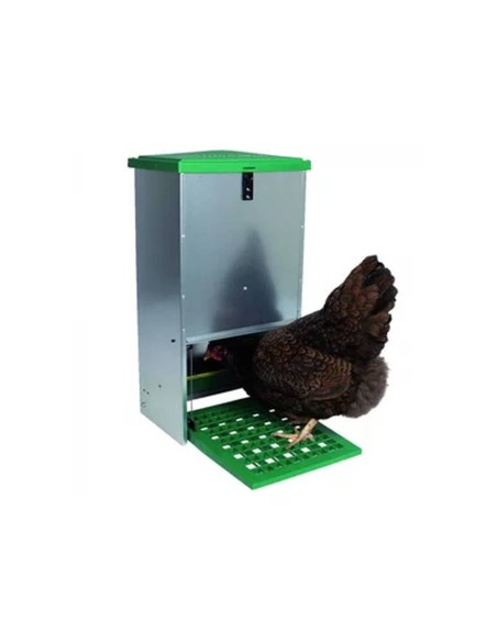 Comedero automático para pollos Feedomatic con placa escalonada | galvanizado
