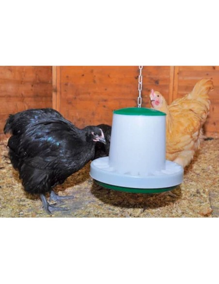 Comedero de plástico para aves de corral ASCOT | verde | (2,5 kilos)